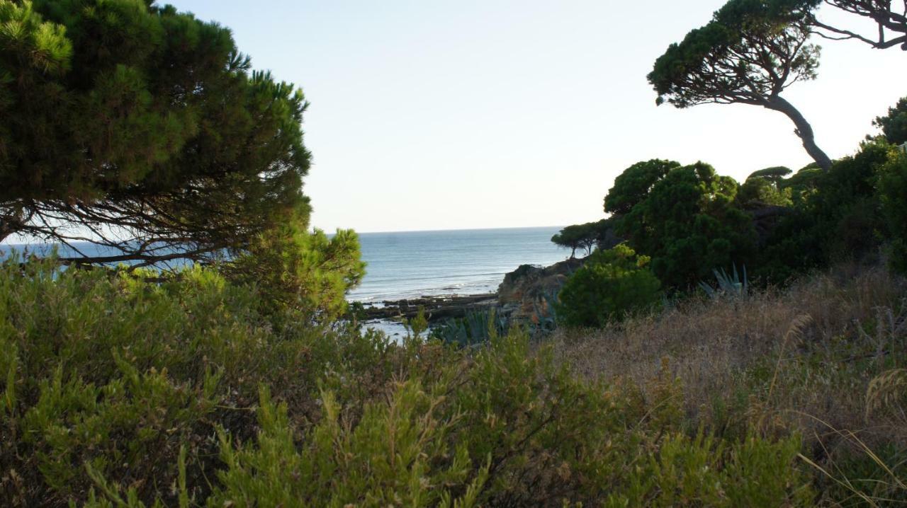 Luxurious T2 apartment, Olhos Dagua Albufeira Exterior foto